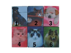 3117-D10 Plastic Cigarette Case, Cats and Dogs