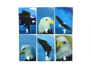 3117-D12 Plastic Cigarette Case, Eagles