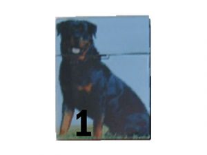 3116-D10 Plastic Cigarette Case, Cat and Dog